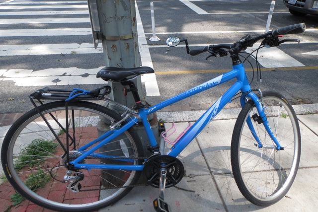 My beloved 1st  adult bike