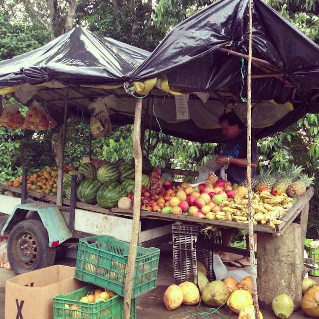 Fruit Stand by Courtney McCubbin