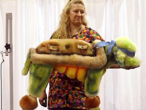 Ninja Trutle dog from DogboardinginPortland