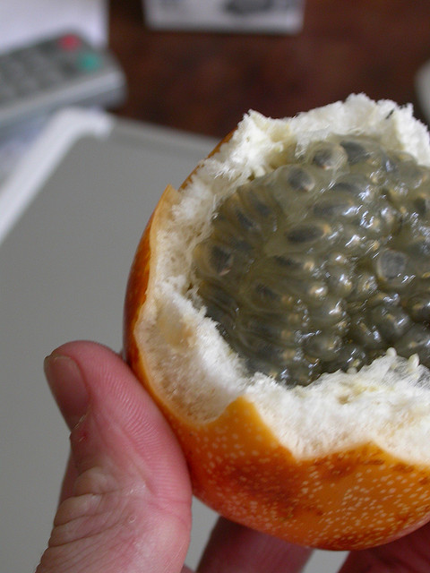 foolfillment Flickr Creative Commons